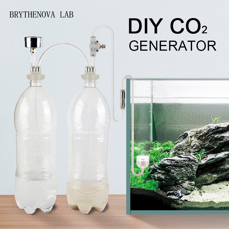 Aquarium Plant Order - Generador de CO2 para Acuarios Plantados,
