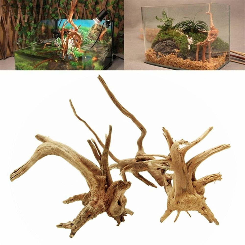 Aquarium Plant Root Tabs - Adornos de madera Natural para pecera,