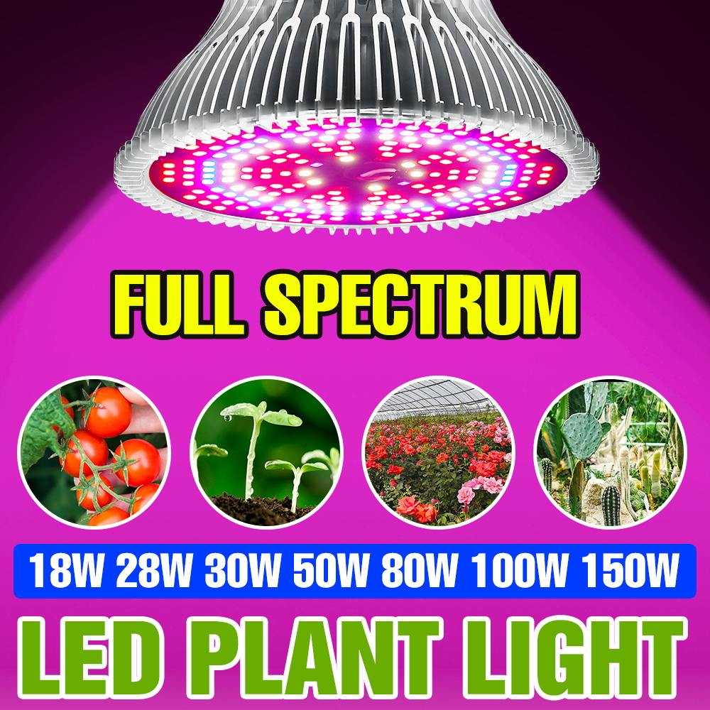 Aquarium Plant Root Tabs - Bombilla LED de Espectro Completo de