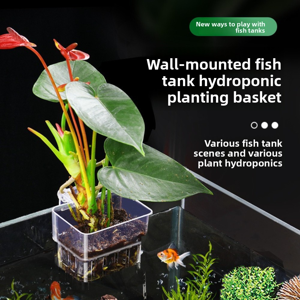 Aquarium Plant Grass - Cesta de Cultivo Hidropónico para Acuario,