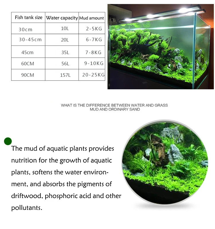 Tanque de peces, agua, hierba, - Aquarium Plant Root Tabs reseña y precio