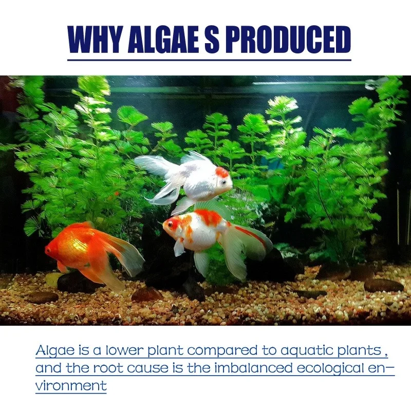 Algaecida de Alta Eficiencia d - Planted Aquarium Equipment reseña y precio