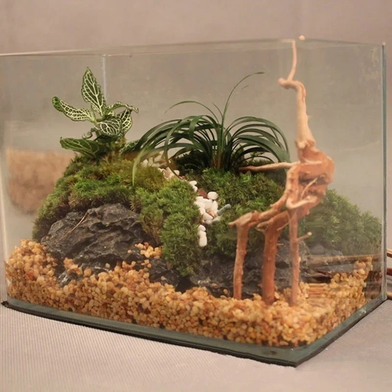Tronco de árbol Natural de mad - Aquarium Plant Guide reseña y precio
