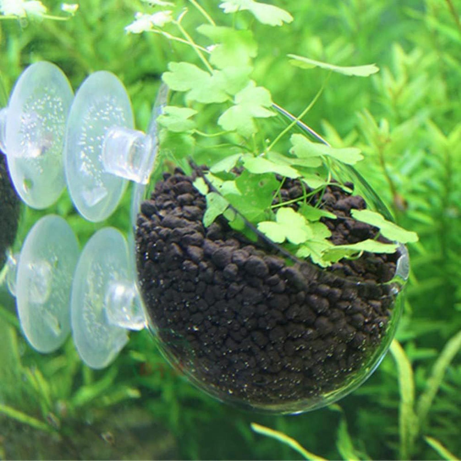 Soporte para Plantas de Acuari - Aquarium Plant Order reseña y precio