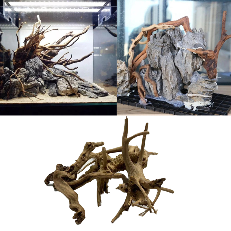 Tronco de árbol Natural, mader - Aquarium Plant Root Tabs reseña y precio