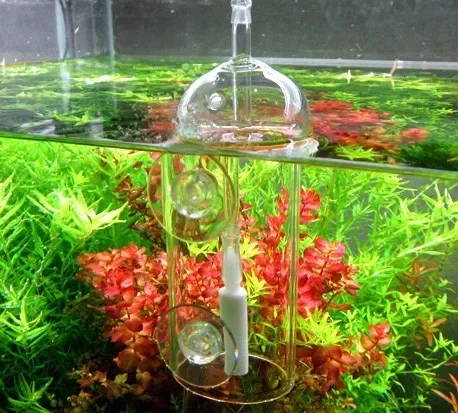 Dispositivo VIV Do, cilindro d - Planted Aquarium Equipment reseña y precio