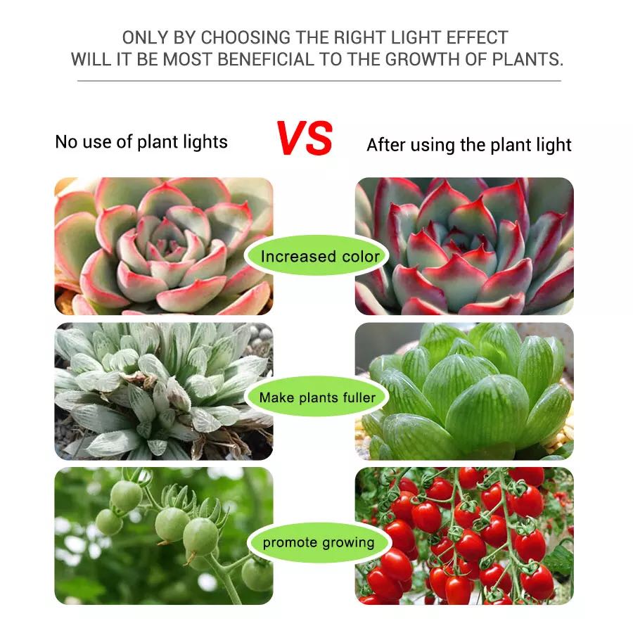 Tiras LED de 5V para cultivo d - Planted Aquarium Hours reseña y precio