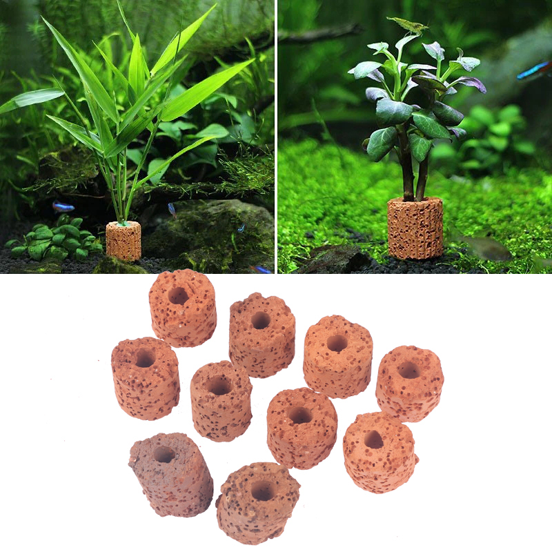 Mini anillo para plantas acuát - Aquarium Planted Setup reseña y precio