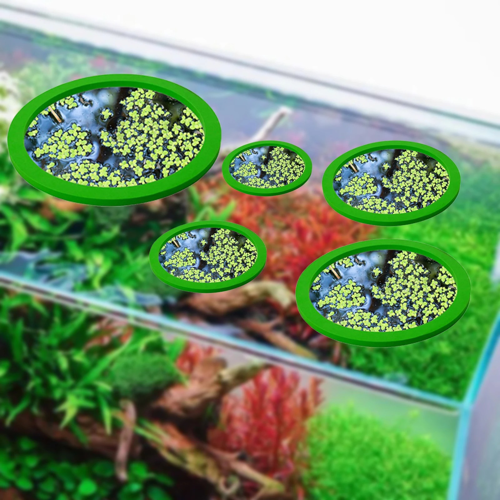 5 uds EVA anillo de alimentaci - Aquarium Plant Order reseña y precio