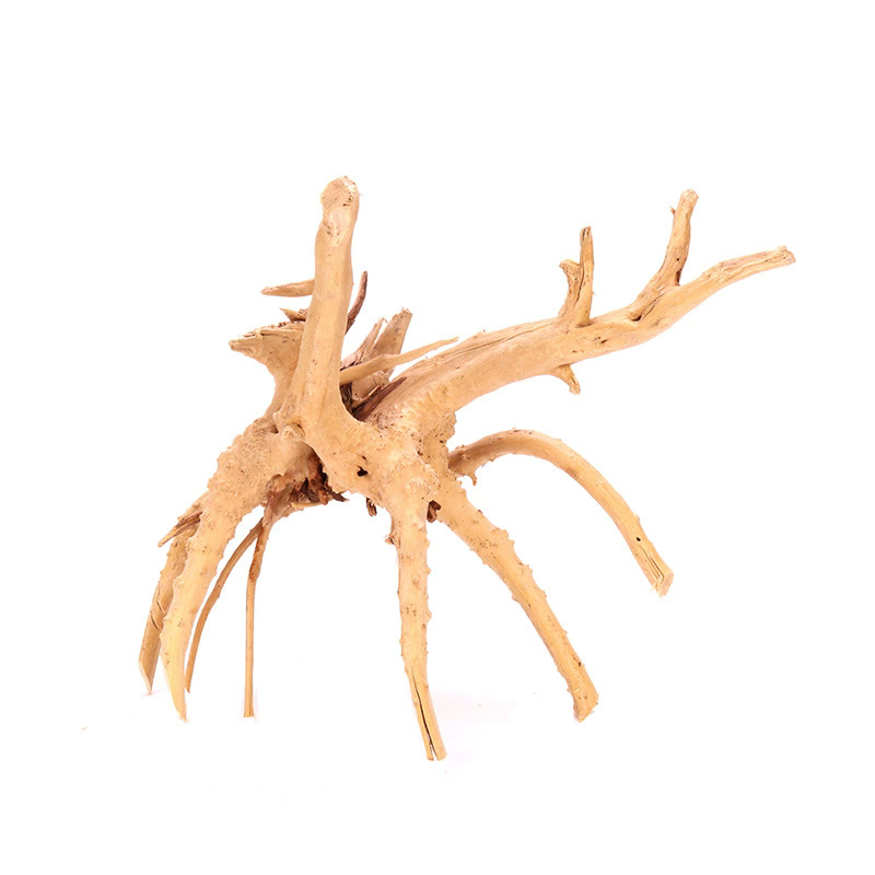 4 Piezas de Decoración Natural - Aquarium Plant Guide reseña y precio