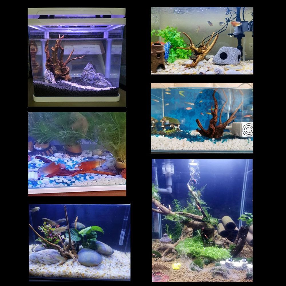 Tronco de Madera Natural para  - Aquarium Plant Guide reseña y precio