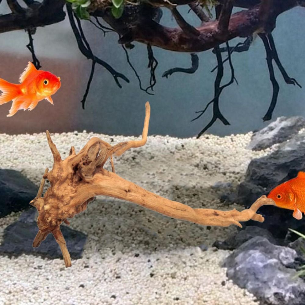 Tronco de Madera Natural para  - Aquarium Plant Guide reseña y precio