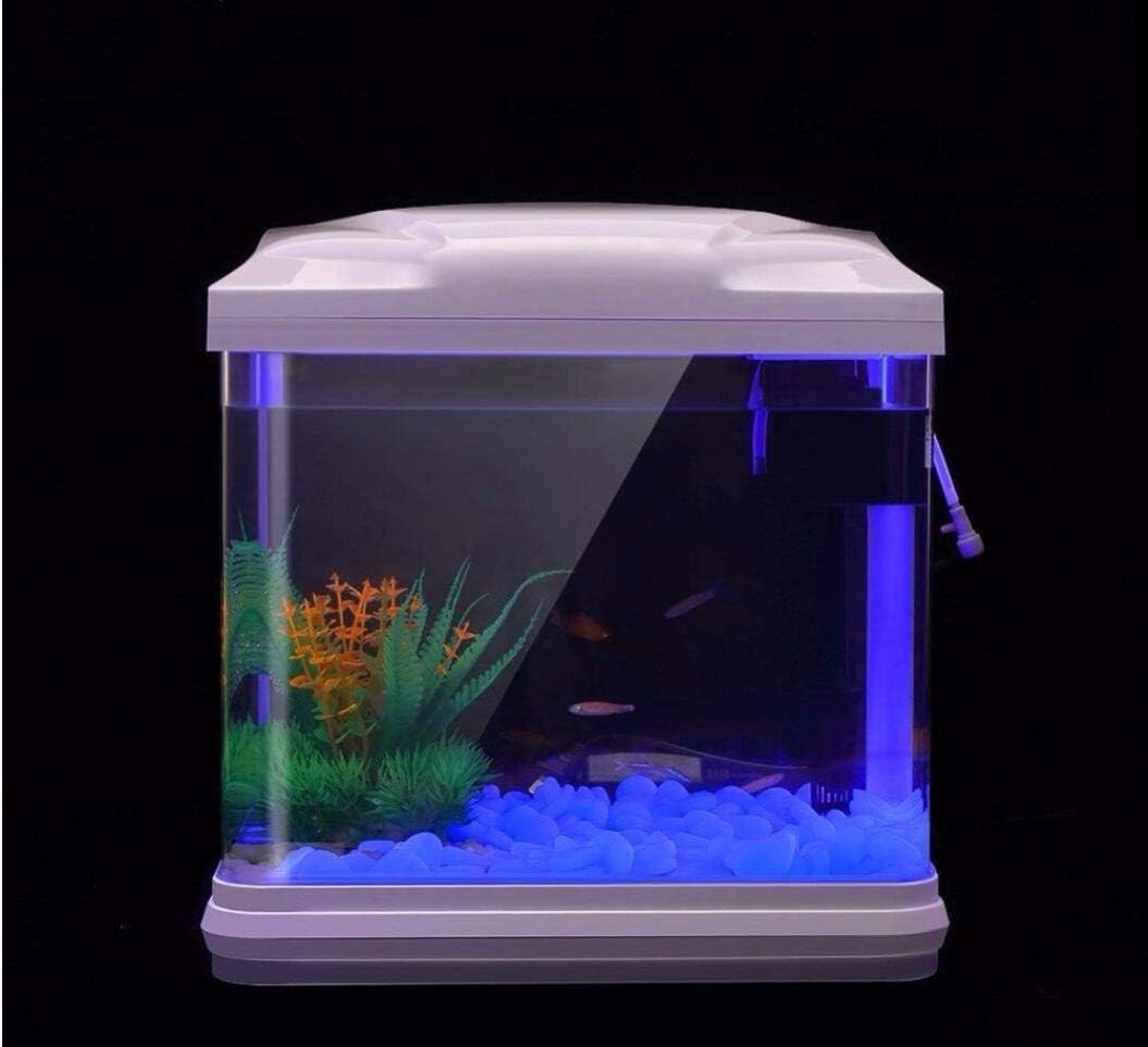 Rocas para pecera, guijarros a - Planted Aquarium Equipment reseña y precio