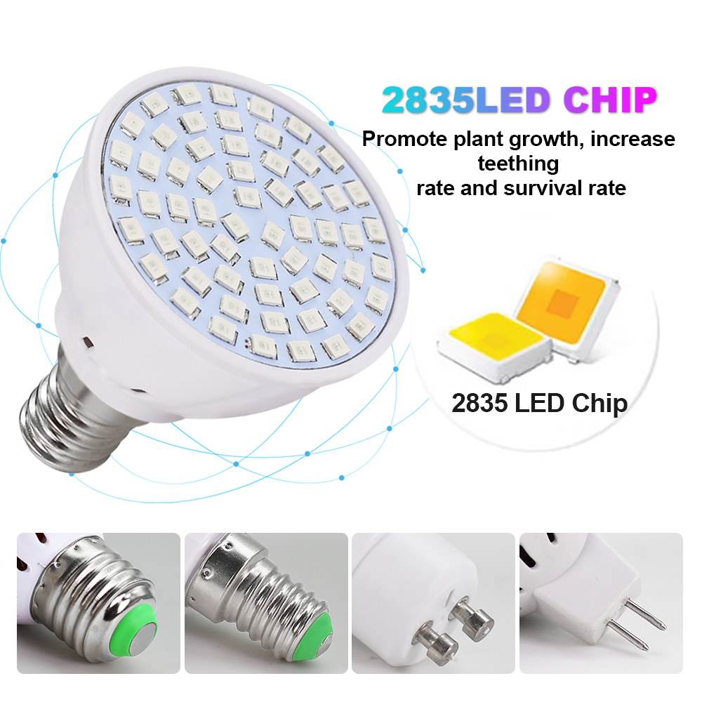 Bombilla Led de cultivo 220V E - Aquarium Plant Root Tabs reseña y precio