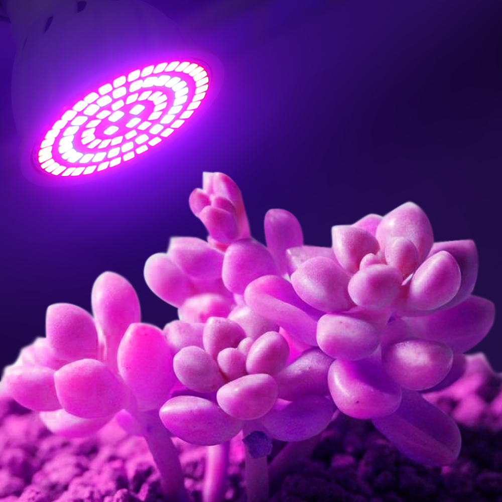 Bombilla Led de cultivo 220V E - Aquarium Plant Root Tabs reseña y precio