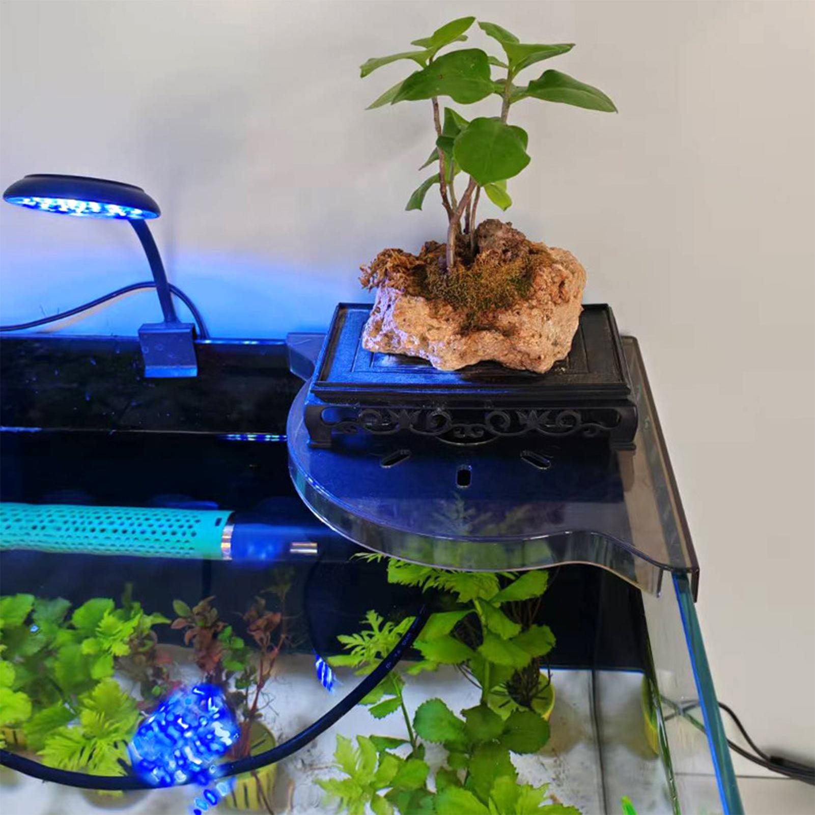 Estante de Almacenamiento en E - Aquarium Plant Order reseña y precio