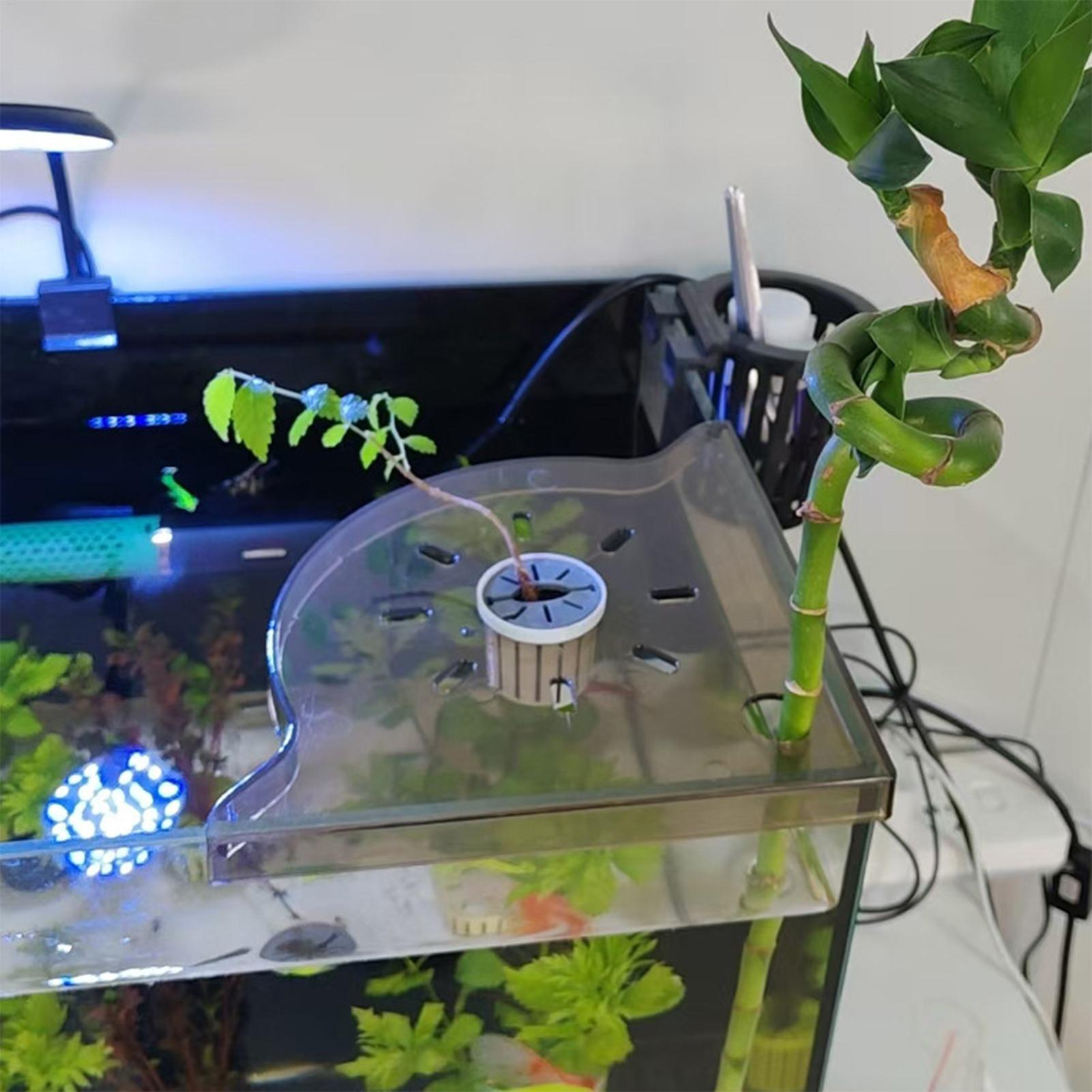 Estante de Almacenamiento en E - Aquarium Plant Order reseña y precio