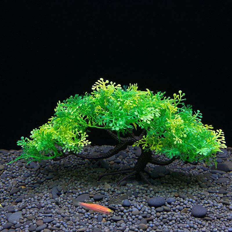 Árbol Bonsái para Acuario, Pla - Aquarium Plant Guide reseña y precio