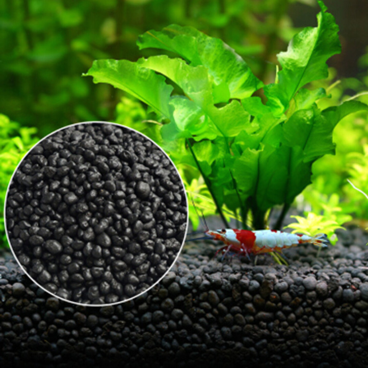 Semillas de plantas de Acuario - Aquarium Plant Grass reseña y precio