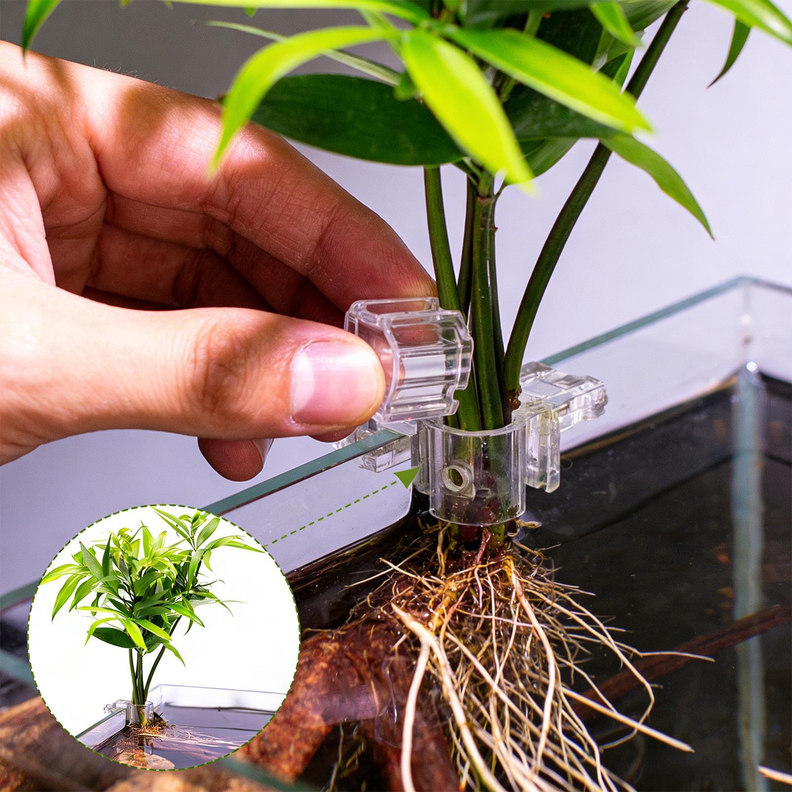 Soporte para Plantas de Acuari - Aquarium Plant Diseases reseña y precio