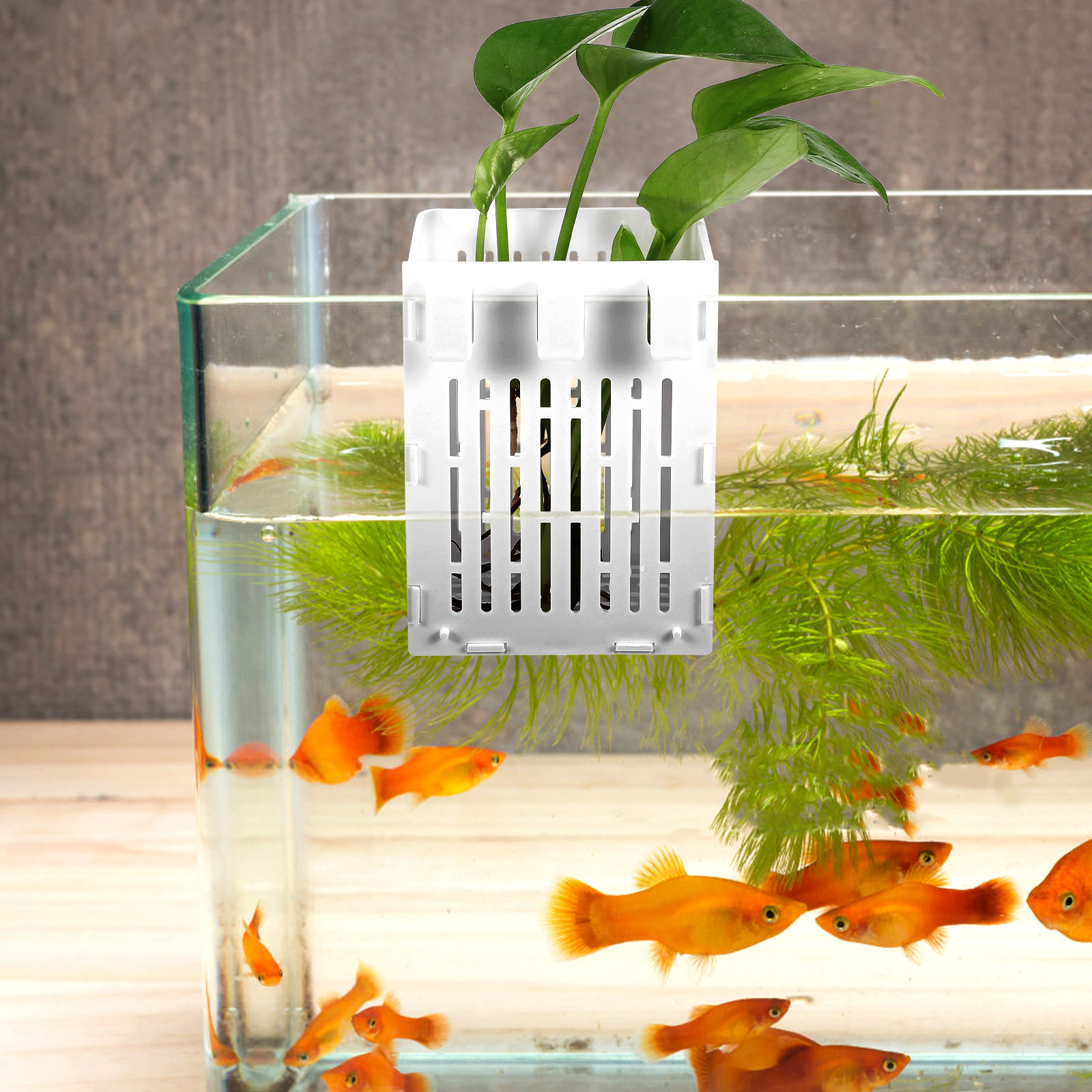 2 Piezas de Cestas Colgantes p - Aquarium Planted Setup reseña y precio