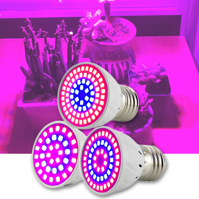 Lámparas de luz LED para culti - Aquarium Plant Root Tabs reseña y precio