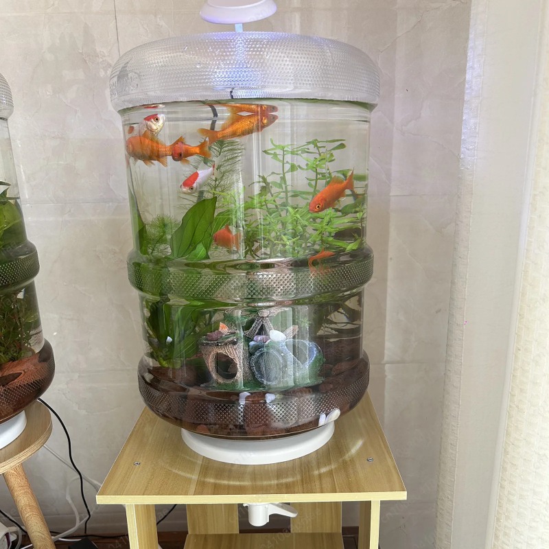 Configuración instantánea para - Aquarium Planted Setup reseña y precio