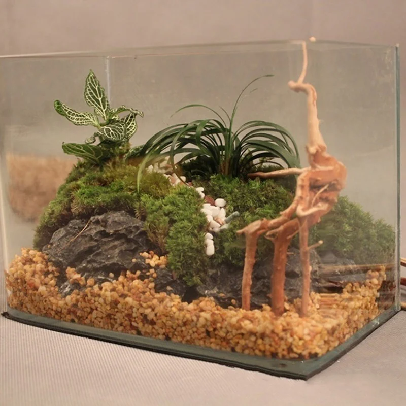 Tronco de árbol Natural, mader - Aquarium Plant Root Tabs reseña y precio