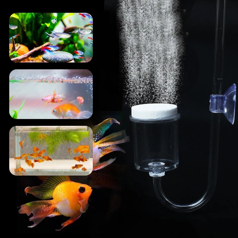 Juego de 4 piezas de difusor d - Aquarium Plant Grass reseña y precio