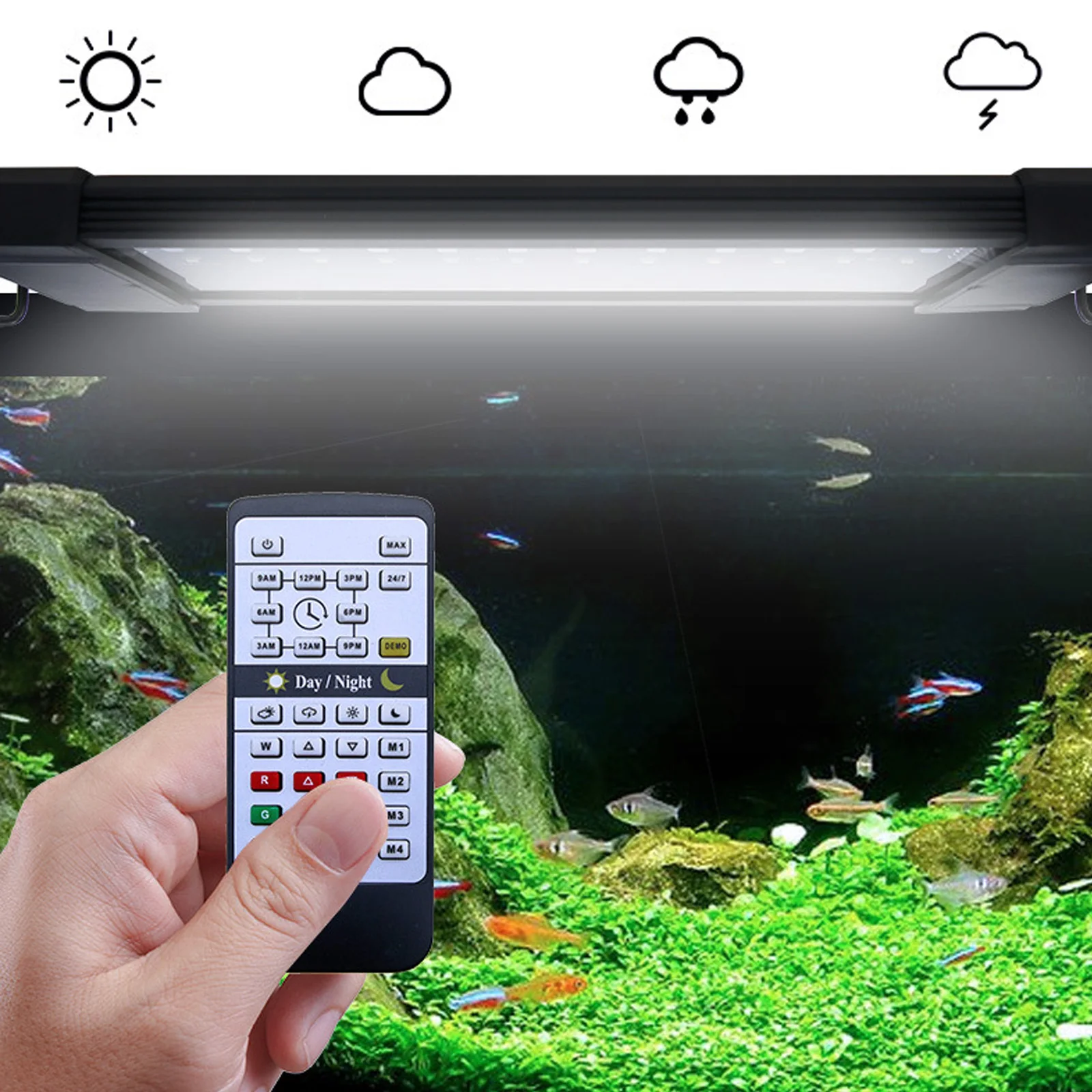 Lámpara LED para Acuario Liwei - Planted Aquarium Hours reseña y precio